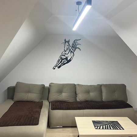 Family Apartmans Harry- Apartmans Of The Apart Hotel & Spa Zoned, Kopaonik - Special Benefit, Children Up To 13 Years Of Age Accompanied By Two Adults Stay For Free-Parking-Breakfast-Pool&Spa Esterno foto